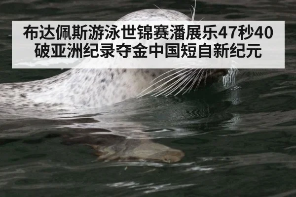 布达佩斯游泳世锦赛潘展乐47秒40破亚洲纪录夺金中国短自新纪元