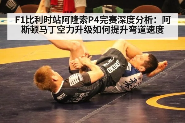 F1比利时站阿隆索P4完赛深度分析：阿斯顿马丁空力升级如何提升弯道速度